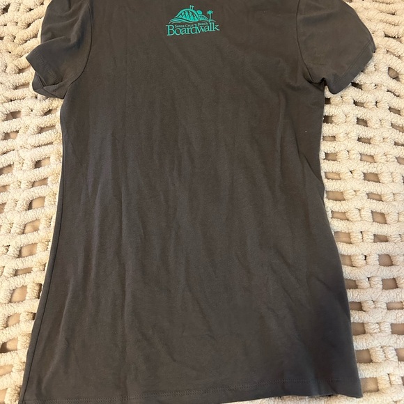 FREE WITH BUNDLE Santa Cruz Gray Tee with Teal Print - Picture 6 of 6